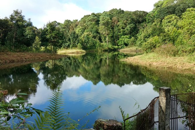 A Walk in the Clouds - Walking Holiday in Khasi Hills, Meghalaya, India - What $1,048 Covers, From Guwahati Pickup to Rhinos