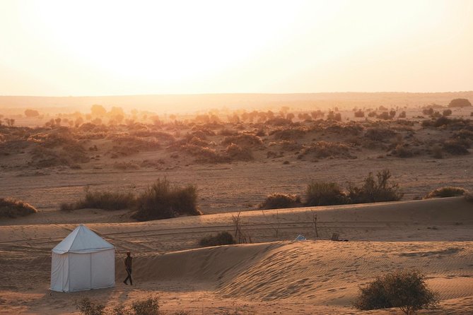Adventure Night With Cultural Show - Camel safari at sunset: about one hour in the dunes
