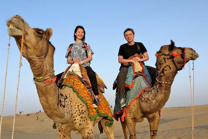 Adventure non touristic camel safari - Key things I’d plan around before you book