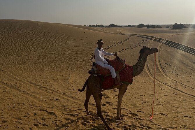 Adventure non touristic camel safari - Day 2 sunrise breakfast and the morning camel ride back