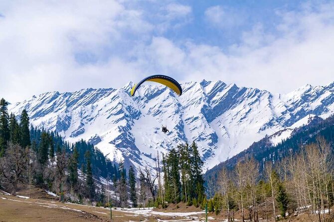 Affordable Chandigarh to Manali Transfer - Drivers, Timing, and the Peace of Mind Factor