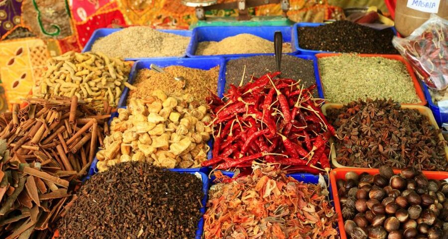 Agra: Indian Food Private Cooking Class - Language, instruction style, and comfort considerations