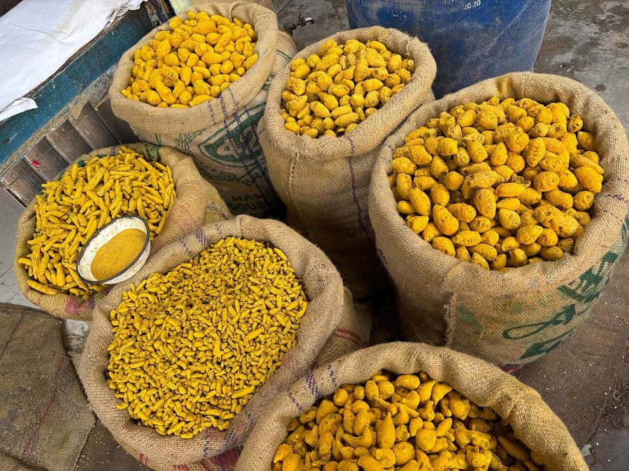 Agra: Street Food Tour with Spice Market on Tuk-Tuk Ride - The Spice Market stop and the medical and health angle