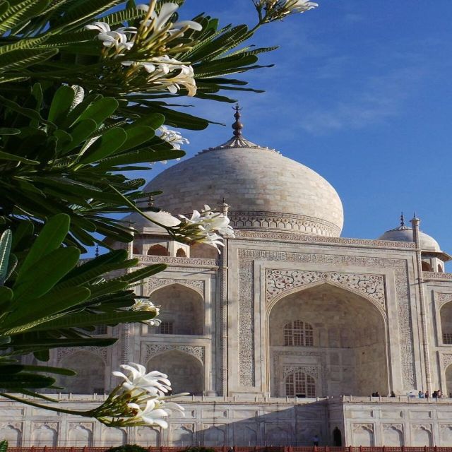 Agra: Taj Mahal Guided Tour with Tuk-Tuk - Price and what $5 gets you (and what to double-check)