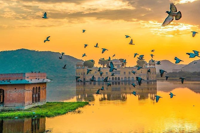 All Inclusive : 5 Days Golden Triangle Tour : Delhi, Agra, Jaipur - Day 4 Jaipur core sights: Hawa Mahal, City Palace, Jantar Mantar