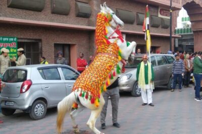 Amritsar City Tour ( EXCLUDING WAGAH BORDER)