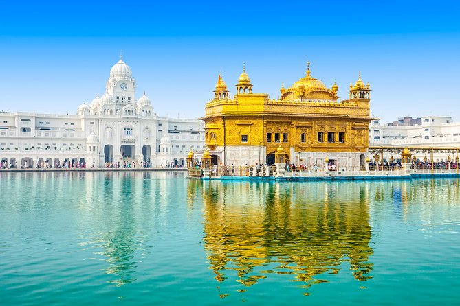 Amritsar Day Tour: Golden Temple and Jalliawala Bagh with Local Food - Langar and the mega kitchen: watching service at human scale