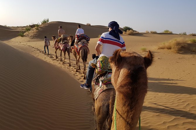 An Overnight Non-touristic Camel Safari (2PM to 11:30 AM Next Day) - Why this Thar Desert overnight ride is worth your time