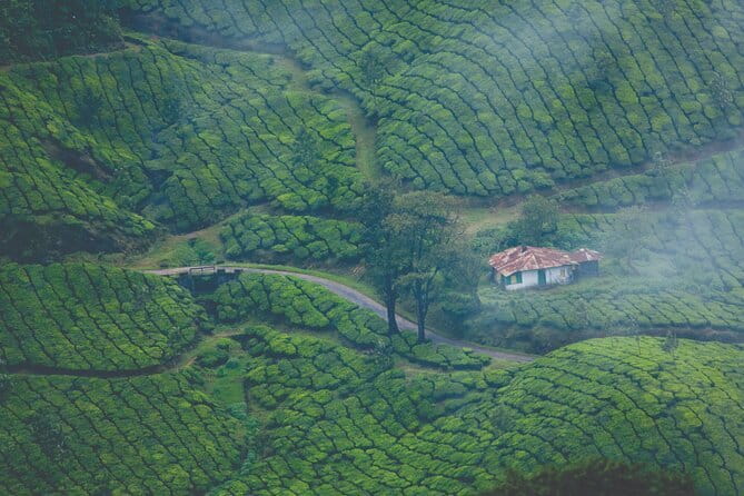 Anakkulam Wild Elephant Visiting(Jeep tour) - Viripara Waterfalls (Kainagiri Waterfalls) and your swim plan