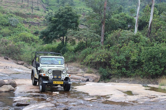 Anakulam Wild Elephant Village life tour ( By Munnar Info) - How the Anakulam Wild Elephant Village day works from Munnar