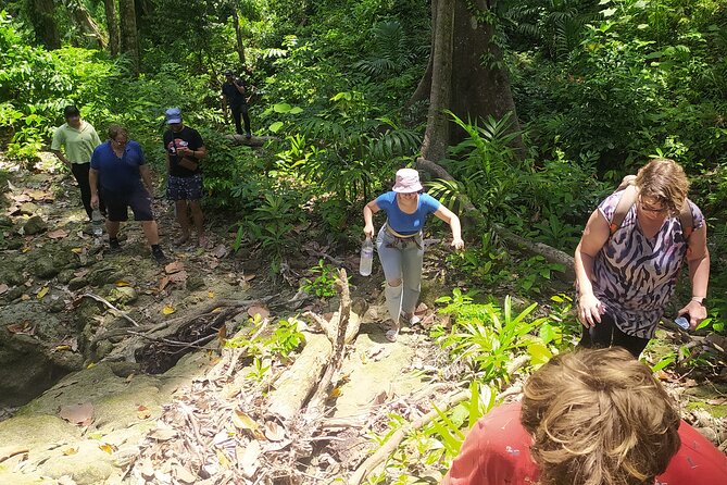 Ancient Lava Stream Trek through dense Tropical forest. - Freshwater Stream Finish and What to Watch for on the Way Out