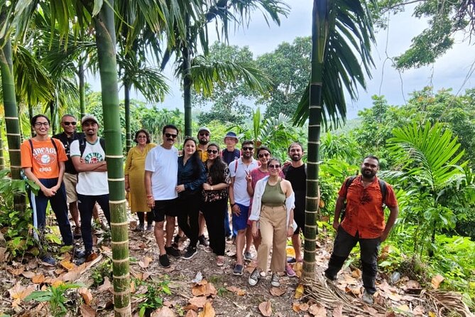 Ancient Lava Stream Trek through dense Tropical forest. - Dense Tropical Forest and the Guide’s Botany Plus Geology Lesson