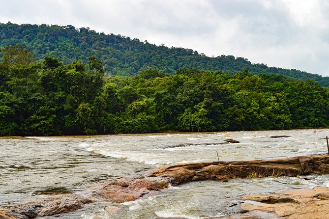 Athirappilly Falls & Cherai Beach Bliss - Day Escape from Kochi - The 8:00 am Start: How the Day Gets Planned Around Waterfalls