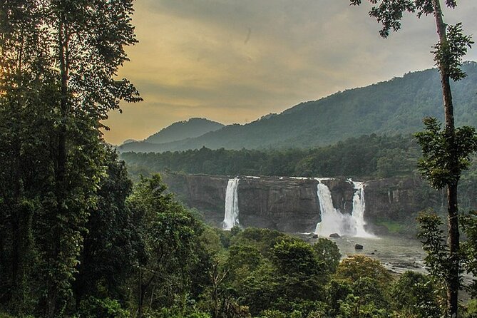 Athirappilly & Vazhachal Waterfalls Private Day Tour from Kochi - Price and value: what $60 buys you here