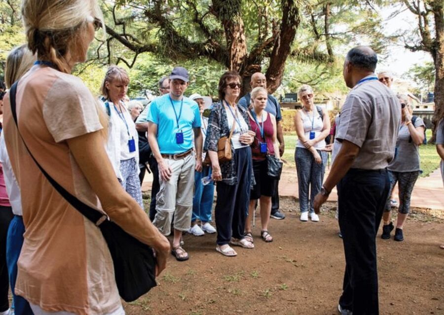 Auroville Guided Walking Tour - Key Highlights Worth Your Attention
