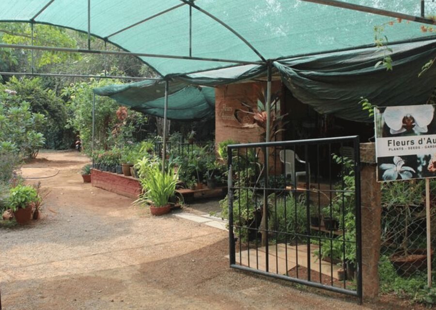 Auroville Guided Walking Tour - Savitri Bhavan: Where Spiritual Education Takes a Concrete Form