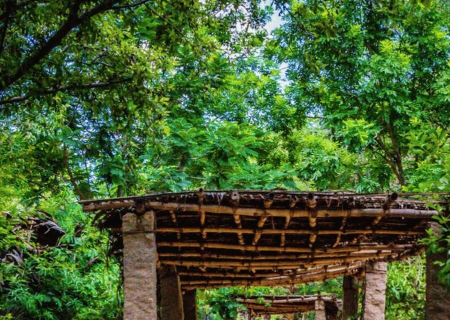 Auroville Guided Walking Tour - Price and Value for $14 in Tamil Nadu