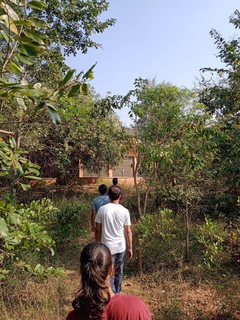 Auroville: Nature Trail Forest Cycling Adventure - Key Highlights Worth Your Time