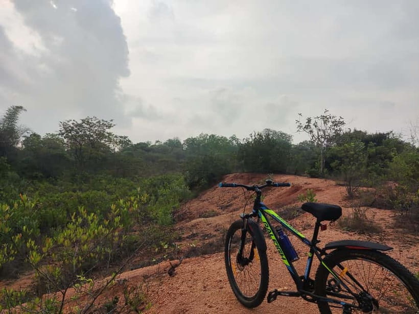 Auroville: Nature Trail Forest Cycling Adventure - Why This Auroville Forest Ride Feels More Personal Than a Standard Tour