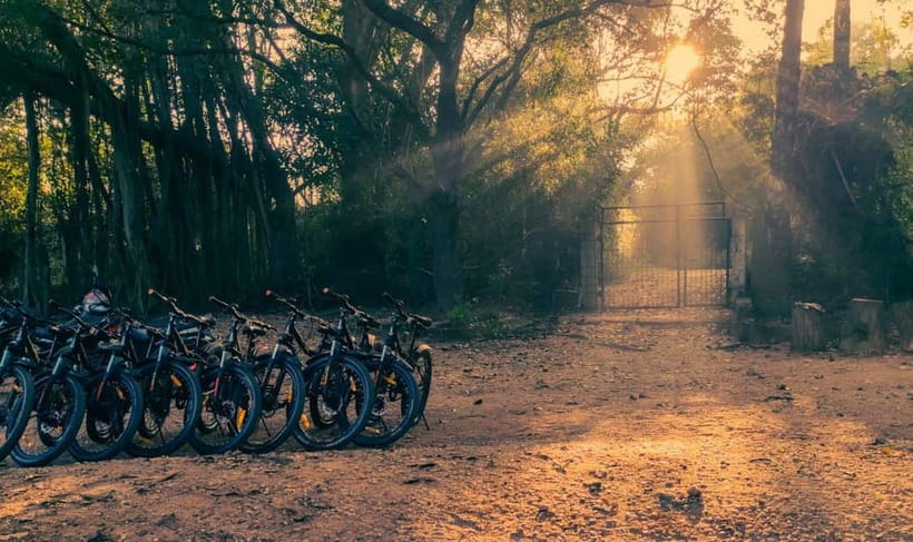 Auroville: Nature Trail Forest Cycling Adventure - The First Leg: Mountain Bike Time on Poothurai Road (45 Minutes)