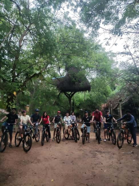 Auroville: Nature Trail Forest Cycling Adventure - The 1.5-Hour Forest Hike That Does the Most for Your Attention Span