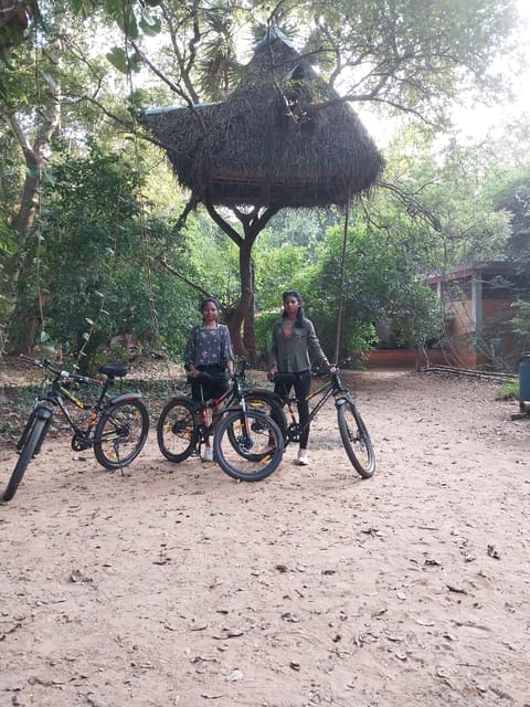 Auroville: Nature Trail Forest Cycling Adventure - Second MTB Loop: Another 45 Minutes of Forest Motion (Then Back)