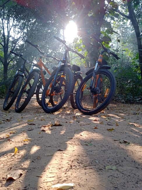 Auroville: Nature Trail Forest Cycling Adventure - Meeting at the Small Blue Shed by KK Greenland