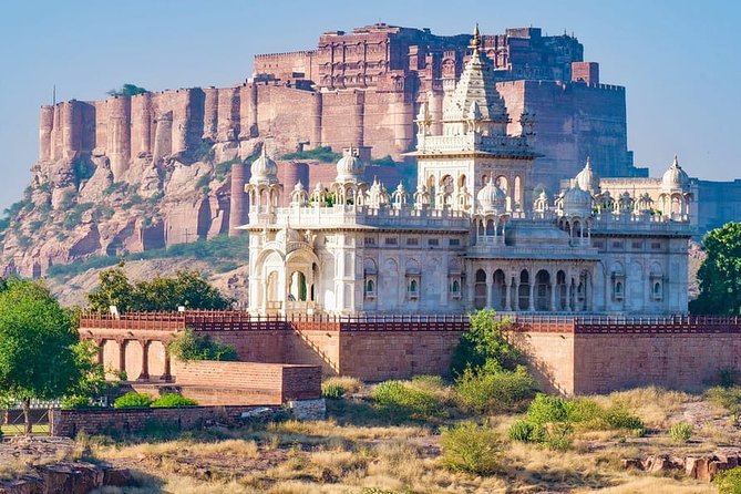 Authentic Jodhpur Day Tour - Mehrangarh Fort Above the Blue City