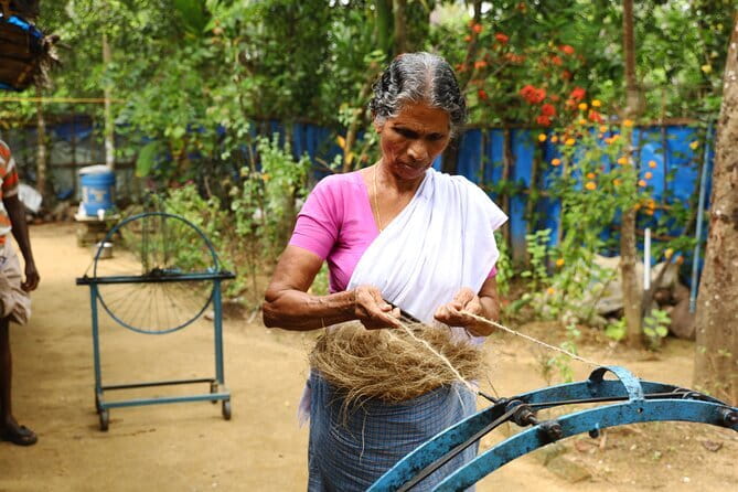 Backwater Tour from Cochin - Traditional boats, modern comfort: how the backwaters day is paced