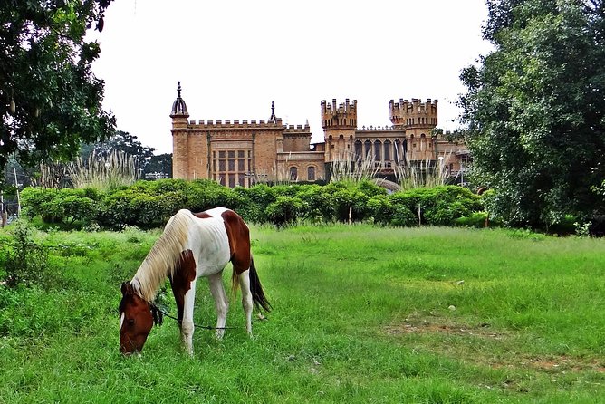 Bangalore - Full Day Private Tour - Bangalore Palace: an hour with royal architecture and garden views
