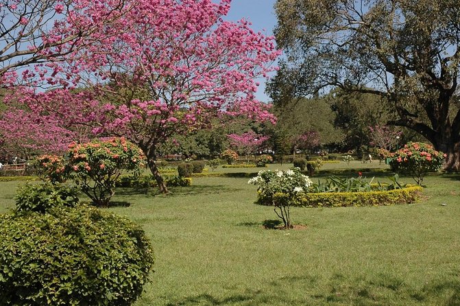 Bangalore Heritage and Cultural Walking Tour - Key things to know before you go
