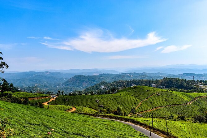 Best of Kerala Tour (Exclusive Private tour) - Day 1 in Kochi: Spice Market and an Easy Arrival