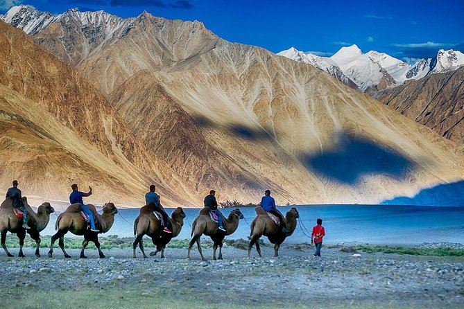 Best Of Ladakh - Day 1 in Leh: arrival, hotel check-in, and acclimatize