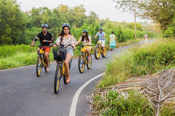 BLive Electric Bike Tours – Discovery of Divar Island - Getting started: Old Goa ferry to Divar and the flow of the day