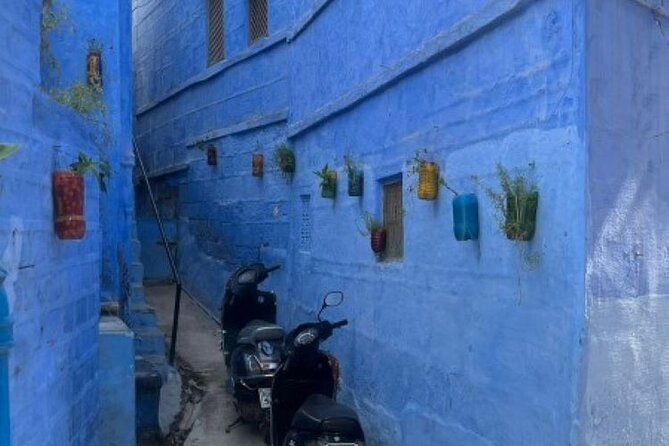 Blue city heritage walk - Where you start: Toorji Ka Jhalra and the rhythm of old Jodhpur
