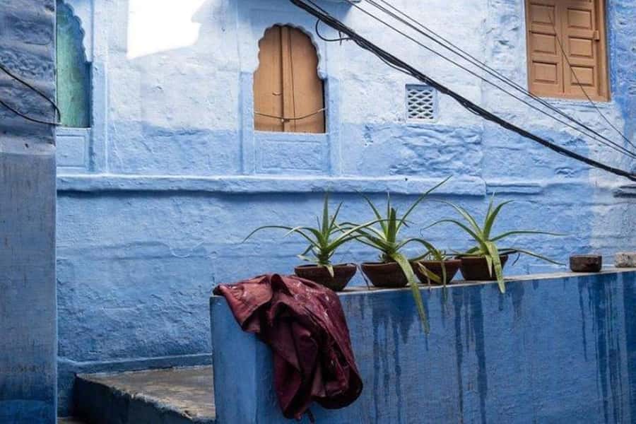 Blue City Heritage Walking Tour With Pick Up & Drop Off - Who should book this Blue City walk, and who should skip it