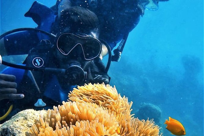 Boat Scuba Diving at Neil Island - Key things to know before you go