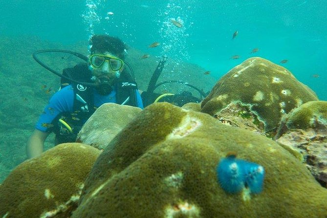 Boat Scuba Diving at Neil Island - Why Neil Island boat sessions feel different from shore work