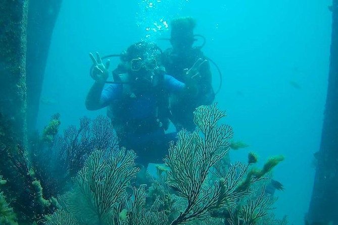 Boat Scuba Diving at Neil Island - Stop 1: Bharatpur Beach, gear up and get your underwater system working
