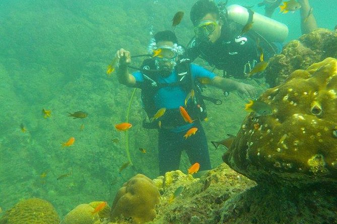 Boat Scuba Diving at Neil Island - The schedule: how the morning runs (and why timing matters)