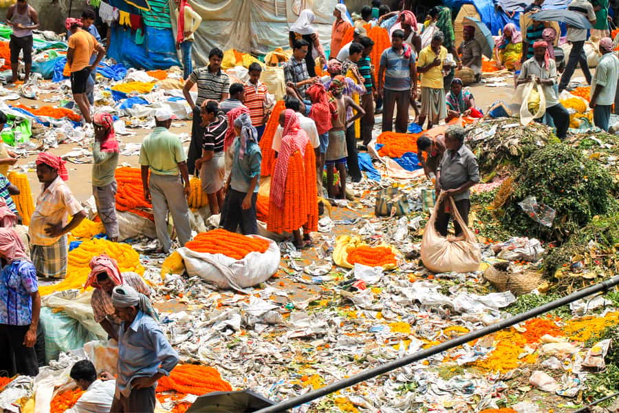 Build Your Own: Customizable Private Tour of Kolkata - Flower Market and St. Paul Cathedral: color and context