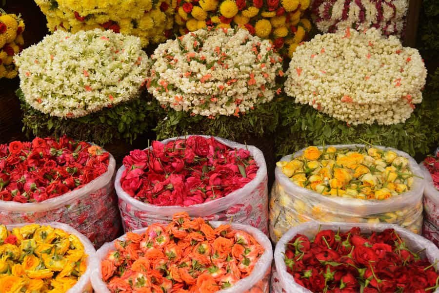 Build Your Own: Customizable Private Tour of Kolkata - Hotel pickup, private guide, and an air-conditioned vehicle