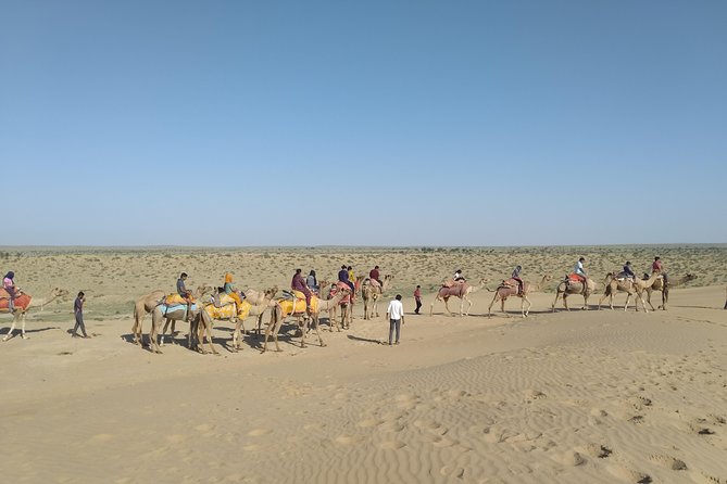 Camel Safari - A Thar Desert camel safari that feels simple, not rushed