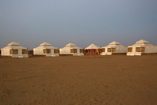 Camel Safari - The camel ride: dunes, ponds, and village edges