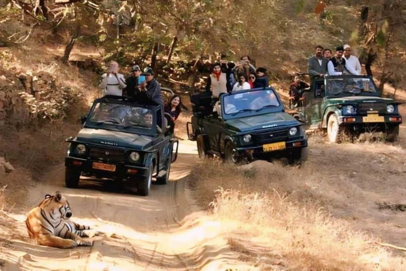 Canter Safari: Skip-the-line Entry Ranthambore Tiger Reserve - Inside Ranthambore: the landscapes that actually help you spot animals