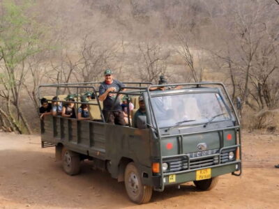 Canter Safari: Skip-the-line Entry Ranthambore Tiger Reserve