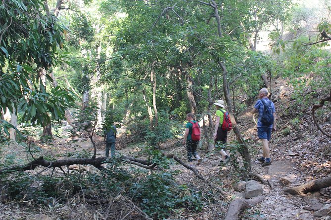 Chinnar wild valley experience day tour ( By Munnar Info) - Eravikulam National Park: the Nilgiri Thar stop you plan around