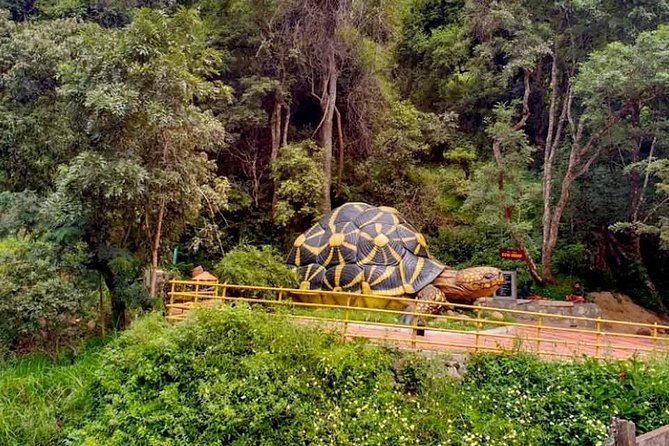Chinnar wild valley experience day tour ( By Munnar Info) - Muniyara to Anakottapara: view points, dolmens, and a quick history-style stop