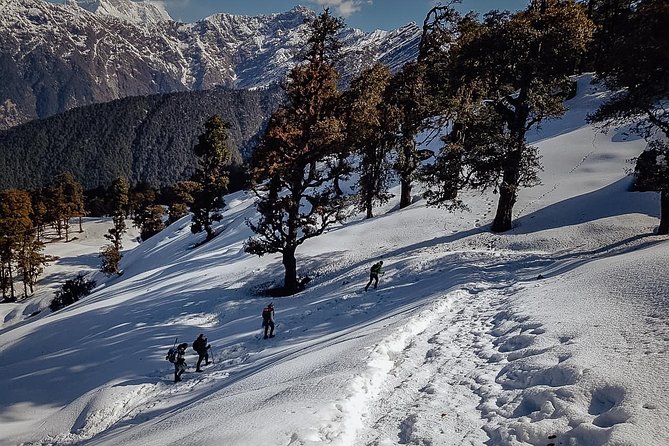 Chopta Trek - A 4 day Himalayan foothills trek that starts in Devprayag