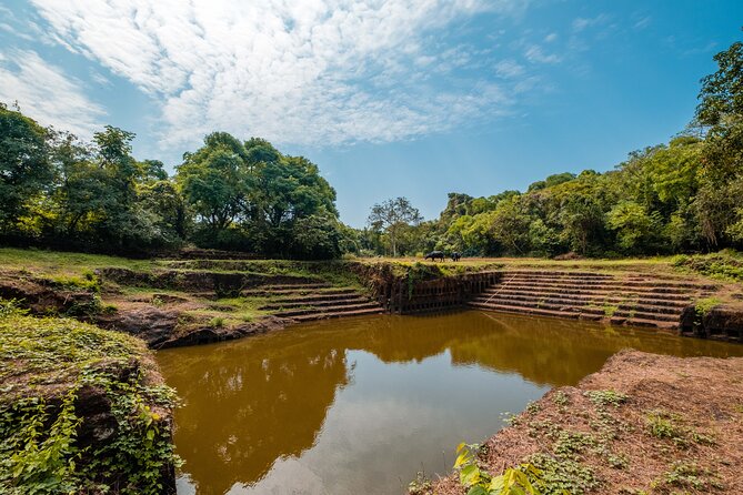 Chronicles and Echoes of Divar Island by Make It Happen - Hill views and riverside moments: why the viewpoint matters